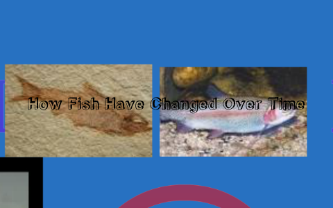 How Fish Have Changed Over Time by Dante Vasquez on Prezi