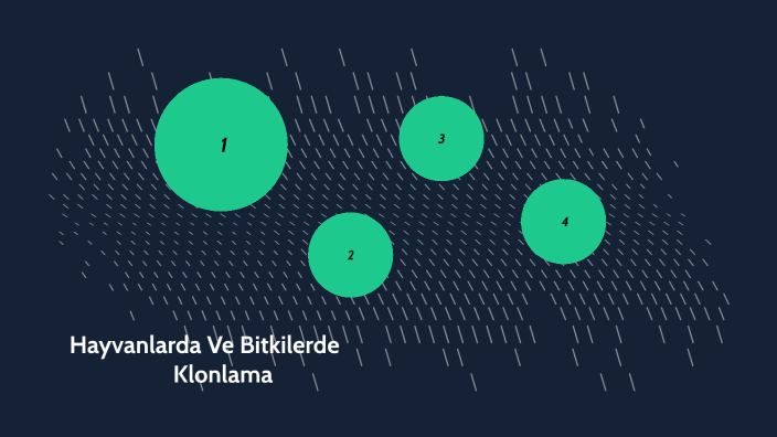 Bitkilerde Ve Hayvanlarda Klonlama By Ecrin Sarıdağ On Prezi