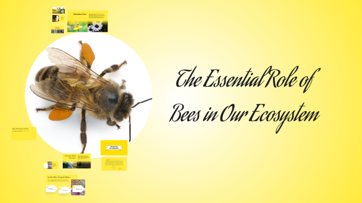 The Essential Role of Bees in Our Ecosystem by Aya Tlili on Prezi