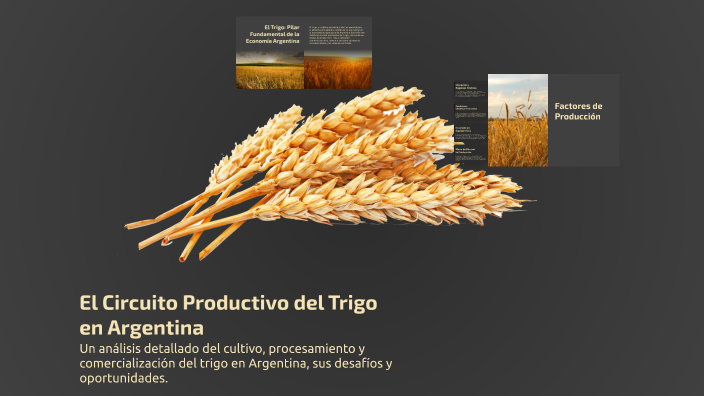 El Circuito Productivo del Trigo en Argentina by Nathaniel Mouzo Cabral ...