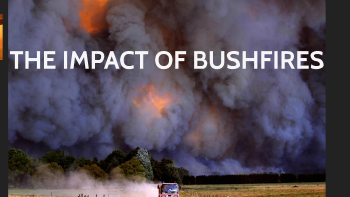 THE IMPACT OF BUSHFIRES by Molly Ashcroft on Prezi