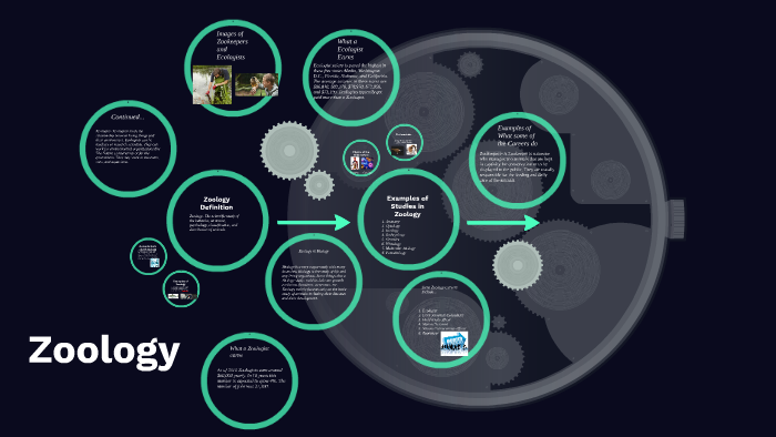 Zoology by on Prezi