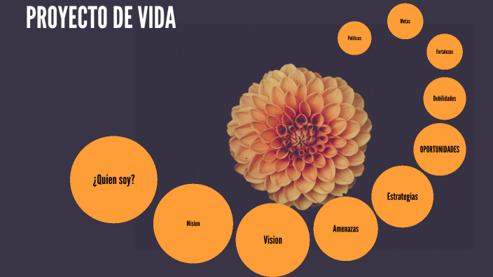 Proyecto de Vida by CARLOS RENATO GUERRERO RASMUSSEN on Prezi
