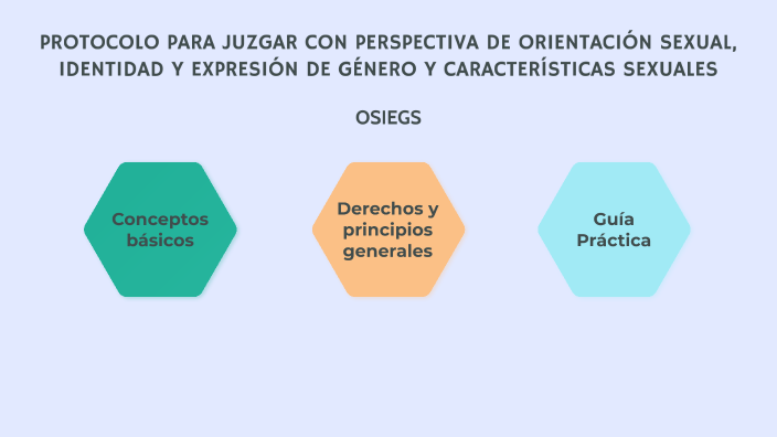 Protocolo Para Juzgar Con Perspectiva De Orientación Sexual Identidad Y Expresión De Género Y 3067