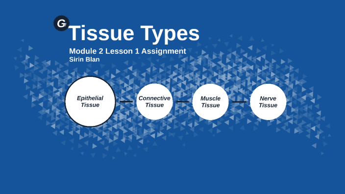 Module 2 Lesson 1 Assignment- Tissue Types by Sirin Blan on Prezi