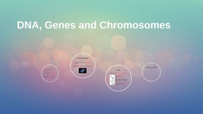 DNA, Genes and Chromosomes by Sam Cox on Prezi