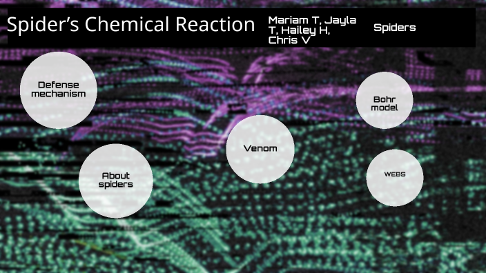 Spider Chems Spider’s Chemical Reaction by Hailey Holguin on Prezi