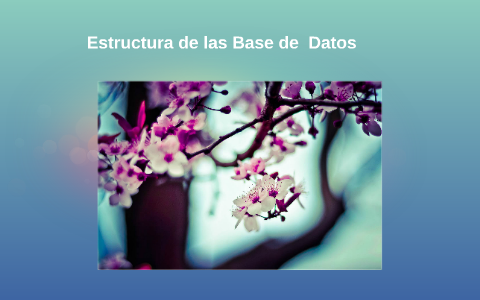 Estructura de las bases de datos by vanessa reyes on Prezi