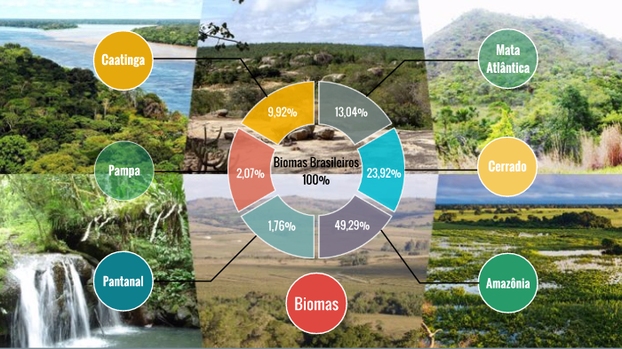 Biomas Brasileiros by Gabrielle Novello on Prezi