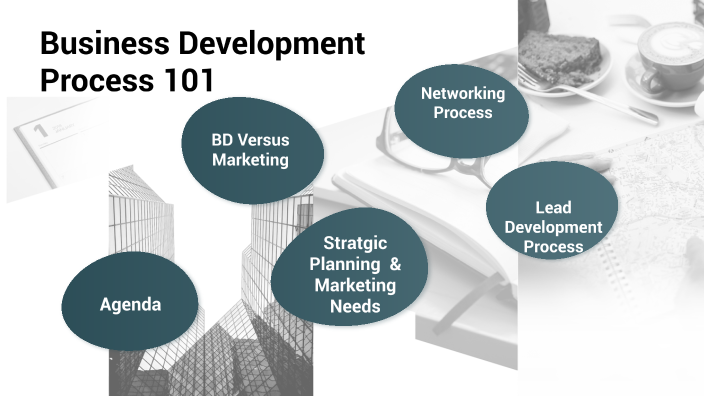 Business Development Process 101 by MIndy Davine on Prezi