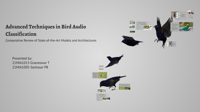 Advanced Techniques in Bird Audio Classification by Seshasai P B ...