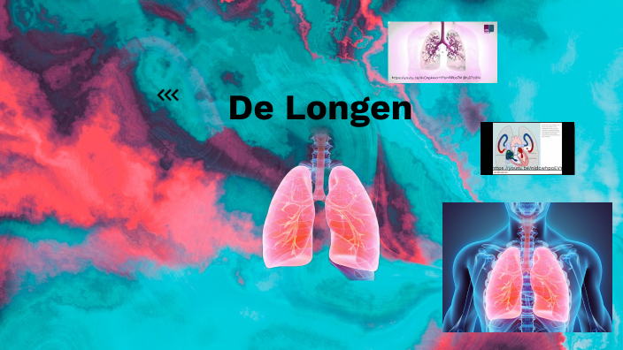 De longen by Desiree Mertens on Prezi