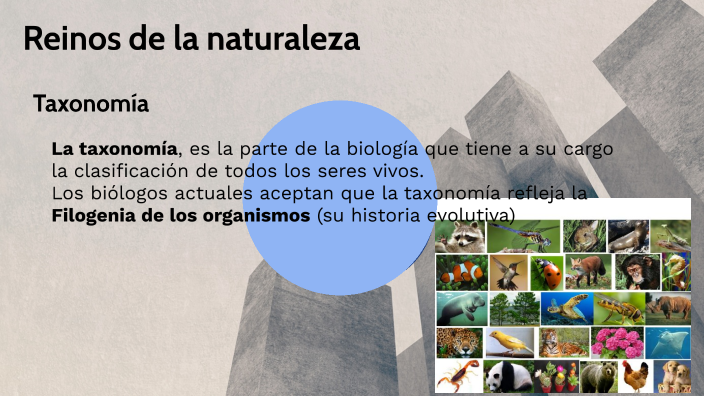 Reinos de la naturaleza by lecty monterroza on Prezi