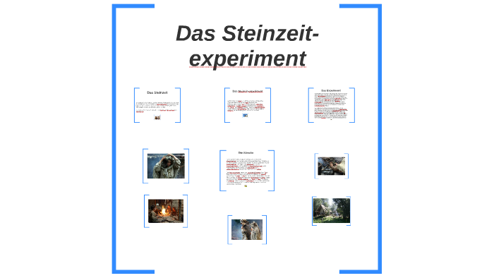 steinzeit experiment