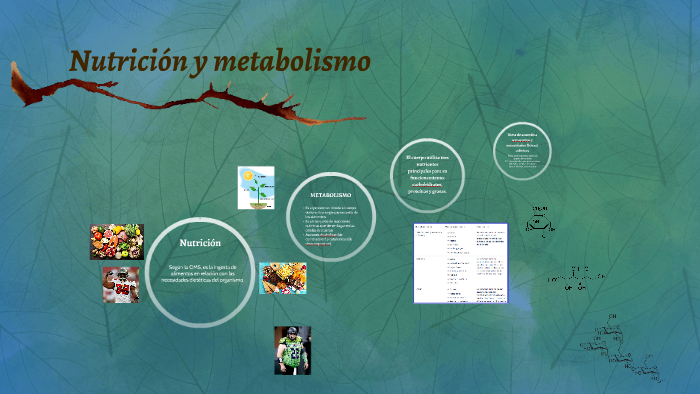 Nutrición Y Metabolismo By Angel Carrillo On Prezi 4423