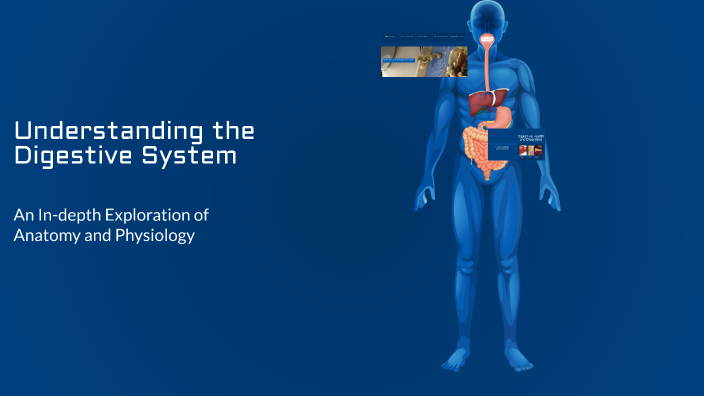 Understanding the Digestive System by Onyeka A’ on Prezi