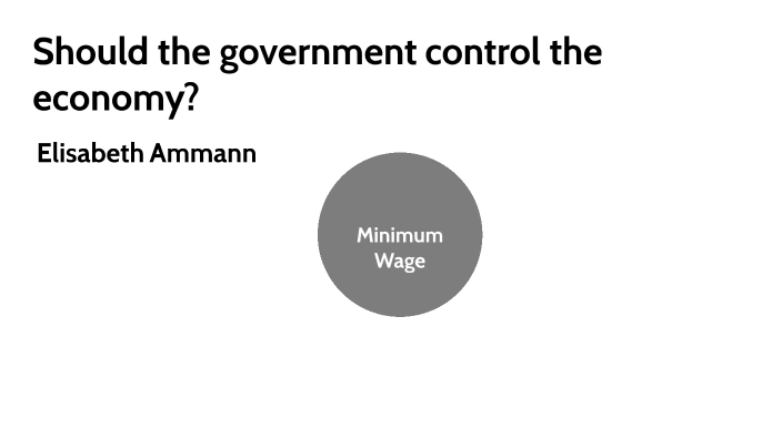 should the government control the economy essay