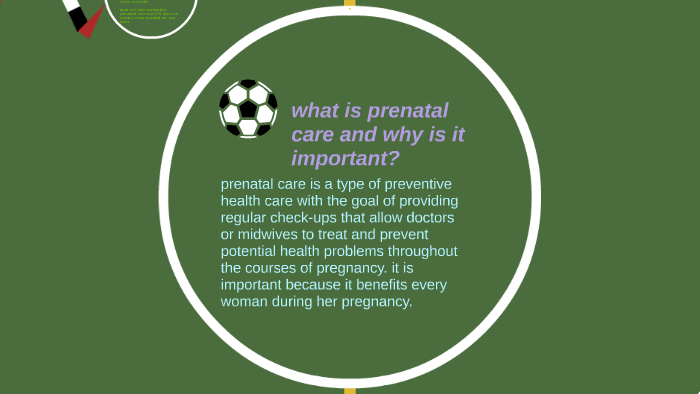 why is prenatal care important essay