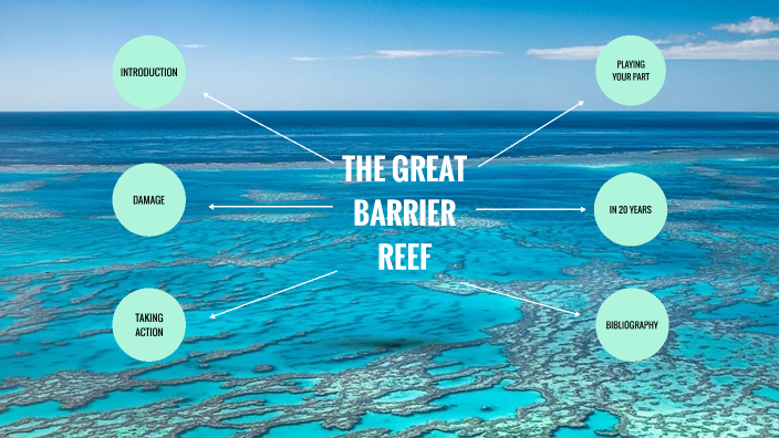The Great Barrier Reef by Hannah Dwyer on Prezi