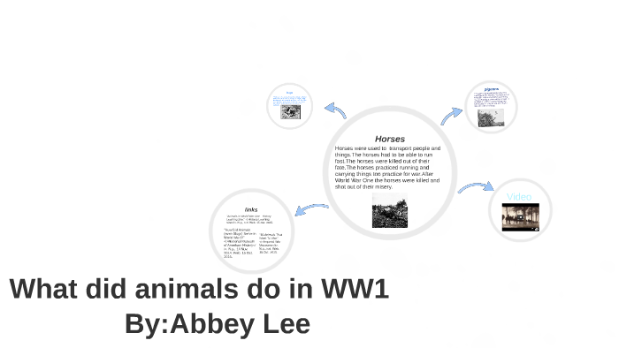 What did animals do in WW1 by abbey lee