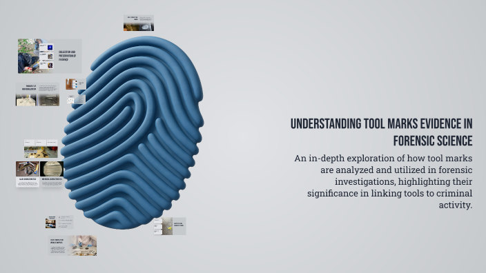 Understanding Tool Marks Evidence in Forensic Science by Justin Jimenez ...