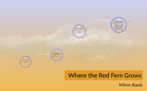 where the red fern grows summary