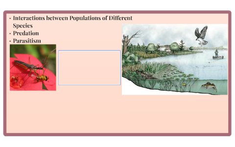 Interactions between Populations of Different Species by Jayson Dela ...