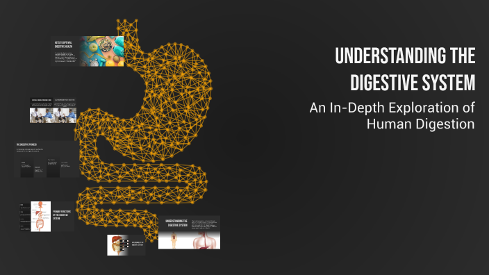 Understanding the Digestive System by Da Rel on Prezi