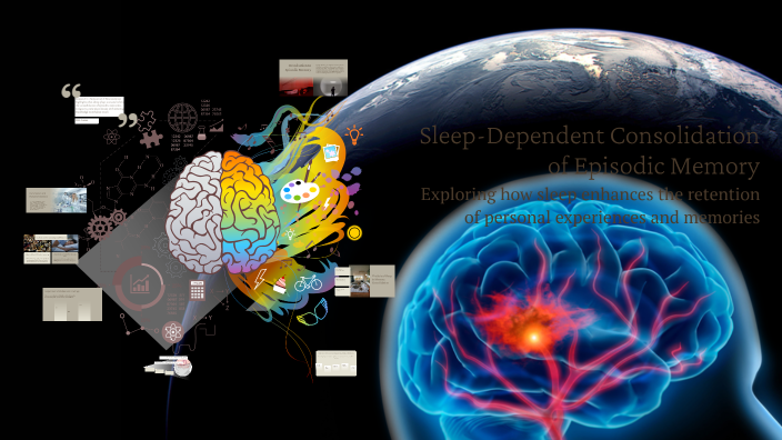 Sleep-Dependent Consolidation of Episodic Memory by Lojain Ana on Prezi