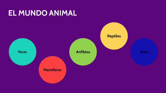 EL MUNDO ANIMAL by zaira thais caballero cueva on Prezi