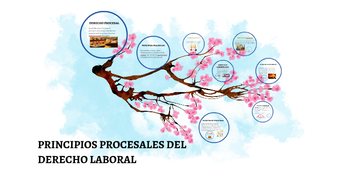 PRINCIPIOS PROCESALES DEL DERECHO LABORAL by Adriana Espinoza Castro on ...