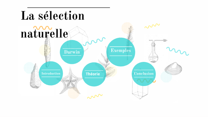 La sélection naturelle by Lia Feytis on Prezi