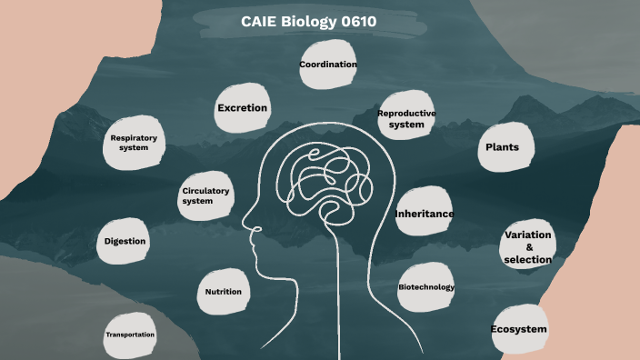 CAIE Biology 0610 by IGCSE Help on Prezi