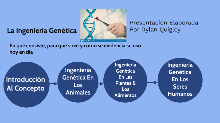 La Ingeniería Genética By Dylan Quigley On Prezi