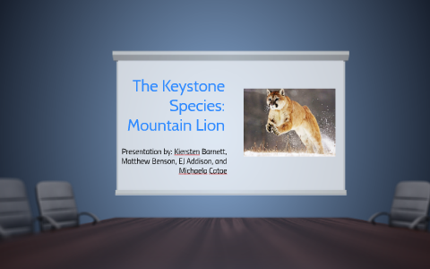 Keystone Species that Live in the Mountains