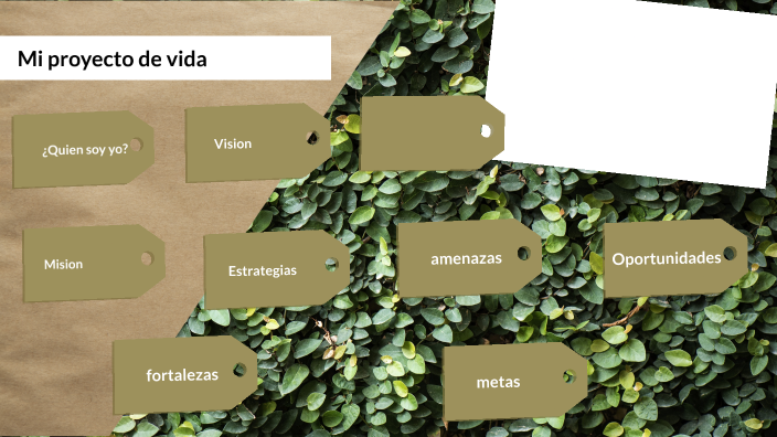 Mi proyecto de vida by ISABEL ARUNI MOLLOCONDO VELASQUEZ on Prezi
