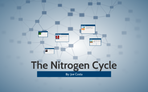 Nitrogen Cycle by Joe Costa on Prezi