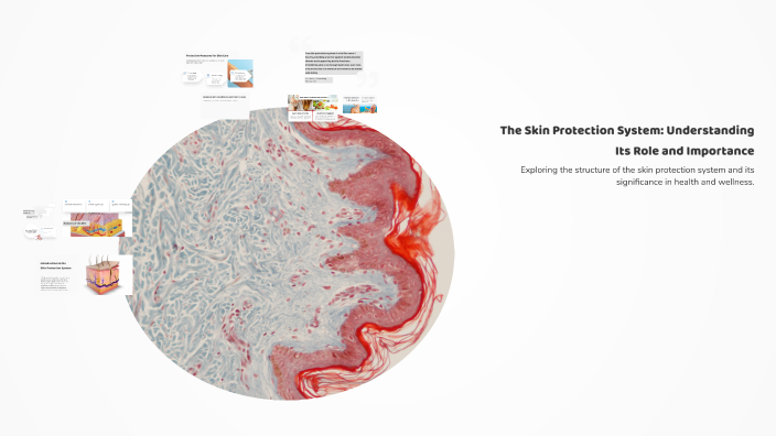 Natural Skin Protection System The Skin Protection System: Understanding Its Role and Importance by ...