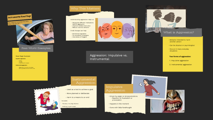 Aggression: Impulsive vs. Instrumental by Sara Hutchins on Prezi