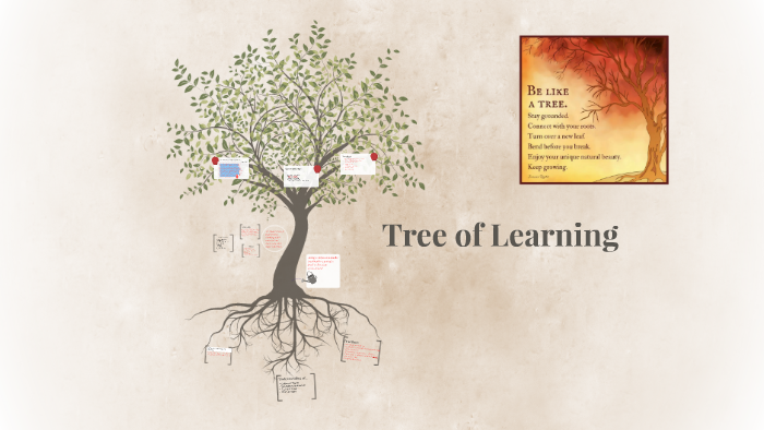 Tree of Learning by Amy Rotman on Prezi