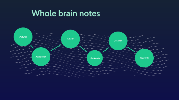 How to take Whole Brain Notes and Condense Information by doğukan ...