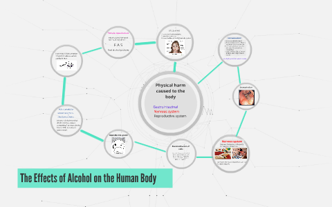 The Effects of Alcohol on the Human Body by Ryan Pugh on Prezi