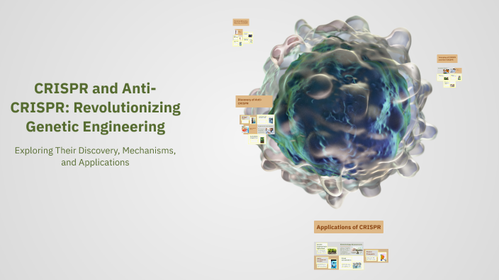 CRISPR and Anti-CRISPR: Revolutionizing Genetic Engineering by fatima ...