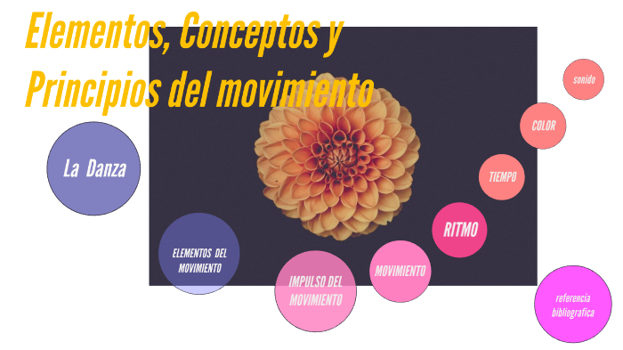 Elementos Conceptos Y Principios Del Movimiento