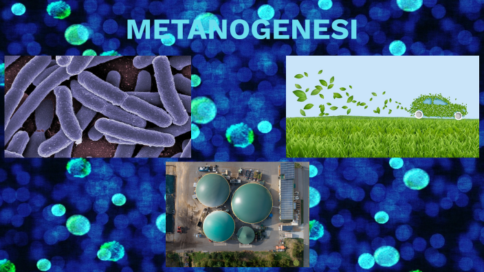 METANOGENESI by Cinzia Cataldi on Prezi