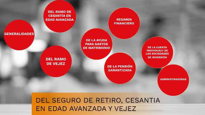 DEL SEGURO DE RETIRO, DESANTIA EN EDAD AVANZADA Y VEJEZ by Elizabeth