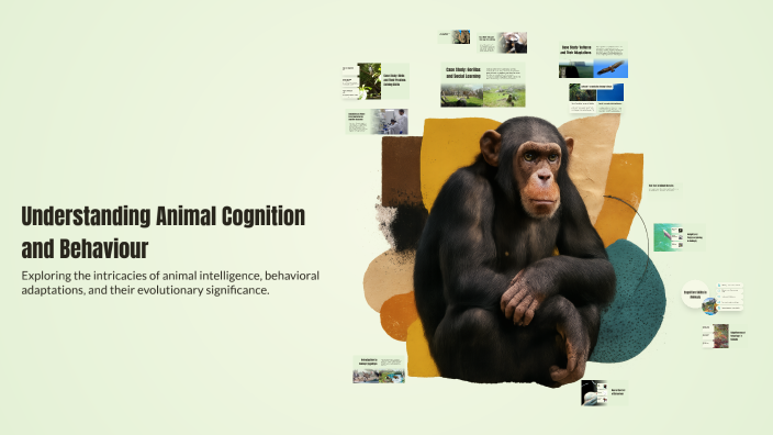Think Animal Understanding Animal Cognition and Behaviour by Satish Kumar on Prezi