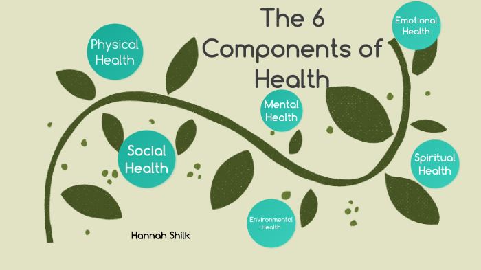 What Are The 6 Components Of Health Information System