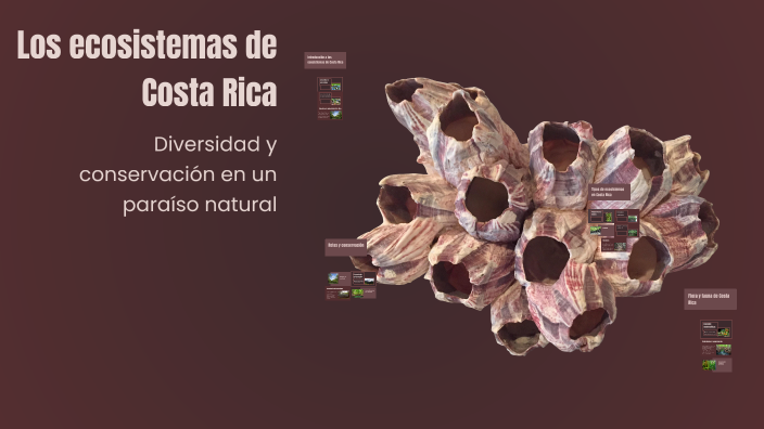 Los ecosistemas de Costa Rica by david chaves on Prezi