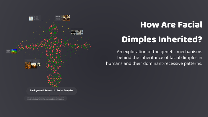 How Are Facial Dimples Inherited? by Merry Sheynt Valentine Dugay on Prezi